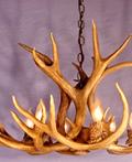 Winnipeg Antler Chandeliers