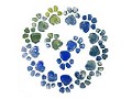 Downtown Pet, New York City - logo